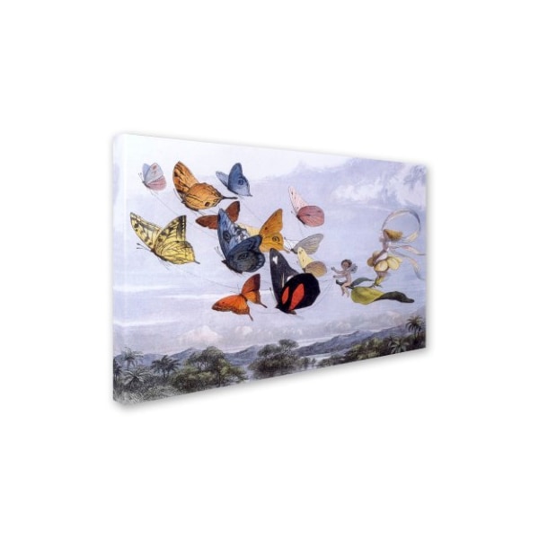 Vintage Apple Collection 'Fairy Butterflies 1' Canvas Art,16x24